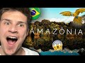 AMAZÔNIA - Viagem pela Floresta Amazônica, Brasil |🇬🇧UK Reaction