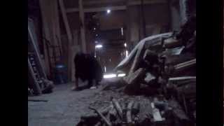 Sum 41 - Screaming Bloody Murder - Unofficial video