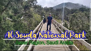 Abha Al Soudah National Park, Saudi Arabia OFW LIFE