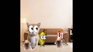 The introduction of Alien Cat 😺❤️ #catmemes #cat #shorts #fyp #bananacat