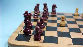 Chess (Stop Motion) screenshot 5