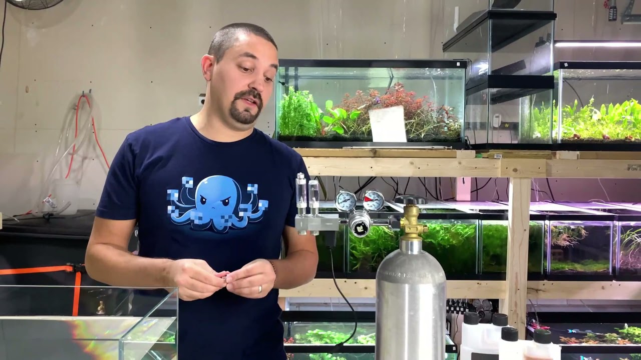 FZONE REGULATOR INSTALLATION- How To install and calibrate pressurized CO2 in your aquarium.