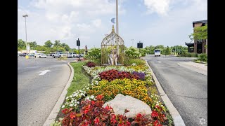 Living in Norwood, OH: The Ultimate Local Guide | Homes.com