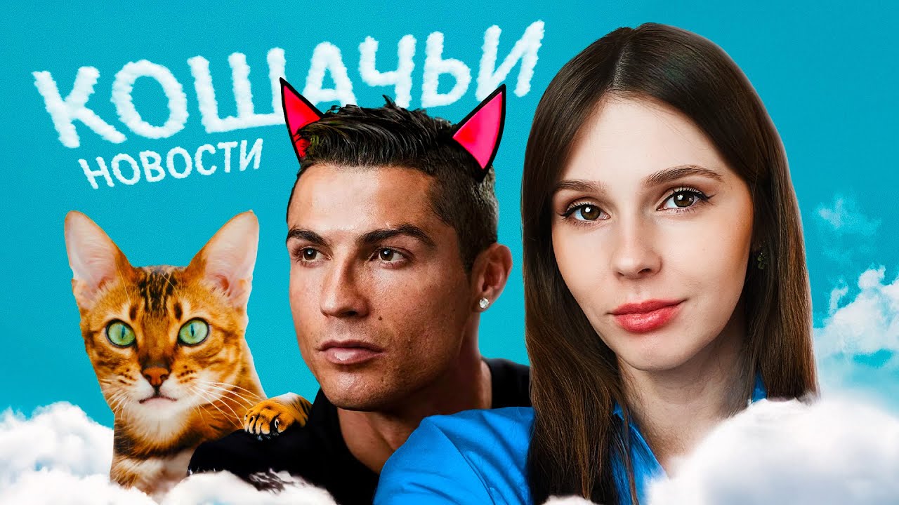 Что случилось в мире котов? Усы за 11 миллионов и кошатник из мира футбола. КОШАЧИЙ ВЗГЛЯД №2