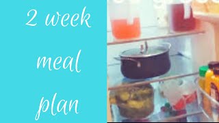 2 WEEK MEAL PLAN|LARGE FAMILY GROCERY HAUL