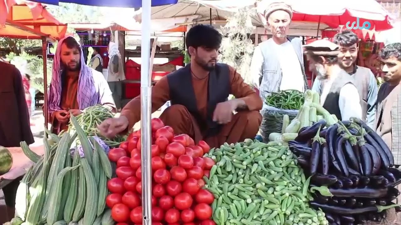 میهن من | بغلان شهر پلخمری