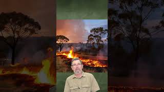 Why we must BURN AUSTRALIA!