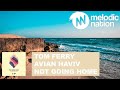 Tom Ferry Avian Haviv Not Going Home mp3