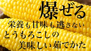 とうもろこし茹で方｜季節と栄養 いちゆり食育教室さんのレシピ書き起こし