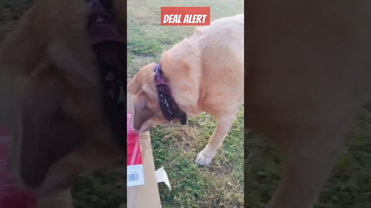 Deal Alert - Tractor Supply GREENHOUSE $14.00