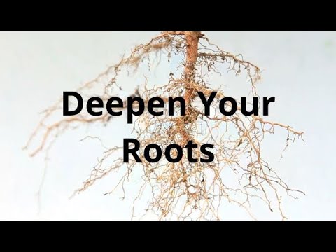 Deepen Your Roots (Message Only) - YouTube