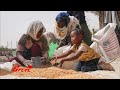 "ጥቃት እንዲፈጸም ትዕዛዝ የሰጡ ይጠየቃሉ" ጌታቸው ረዳ || በአባ ሳሙኤሌ የታሰሩ ታራሚዎች አቤቱታ @ethiopian_reporter