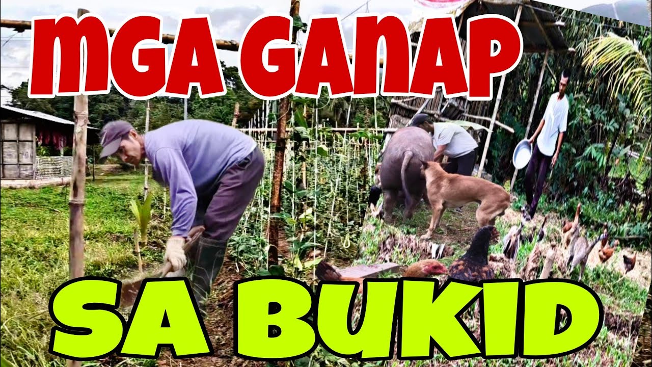 My Solo Life in Palawan|Buhay sa Bukid|Buhay Probinsya