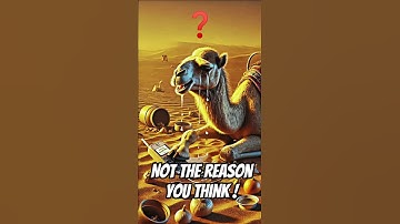 I Lost Everything in the Desert... Then I Cried For This Reason! 😭 #SubscribeForMore #camel #ai #cry
