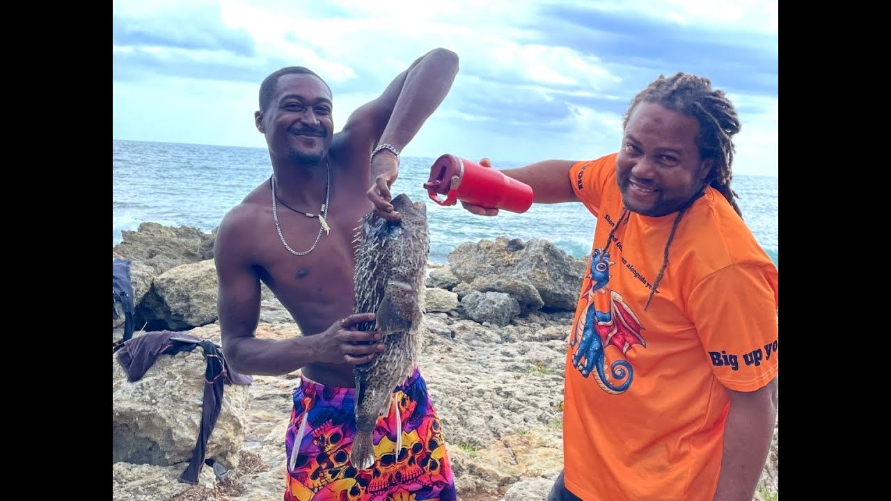 This is how we survive of the land on the ocean 