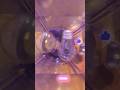 LIGHT BULBS IN A BLENDER???