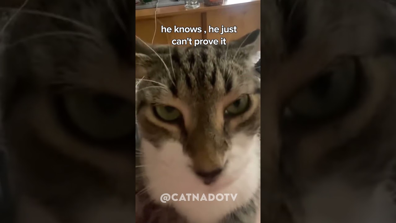 he just can't prove it 😂