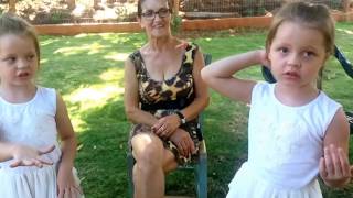 Vlog As Gêmeas Júlia E Nicole Na Casa Da Bisavó Filomena