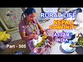 Rural life of nepali community in assam india part   505 