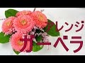かわいいフラワーアレンジの作り方(ガーベラ）~How to make a flower arrangement with Gerbera.