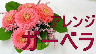 かわいいフラワーアレンジの作り方(ガーベラ）~How to make a flower arrangement with Gerbera.