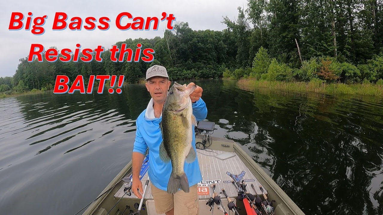 Top Water Tactics: Fishing the G.O.A.T to Catch Big Bass!