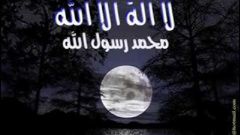 تلاوه رائعه للشيخ انس الغامدي.flv
