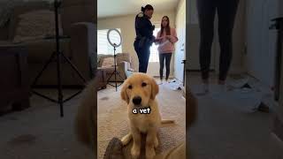 She Poured Glitter On Puppy For Views 🤬💔