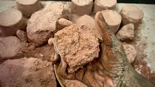 New Exciting Crumbling Vlog😍 Super Satisfying Crumbling Vlog🤤💨Mazaydar Textures k sth batain#asmr 