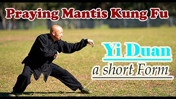 Kung Fu training 2021: Praying Mantis Kung Fu – a short form – Yi Duan