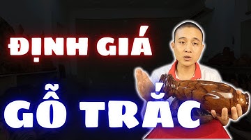 TÒ MÒ : Giá gỗ trắc xưa và nay khác nhau như thế nào ? | Sơn Sập Gỗ