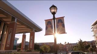 Dr. Mark Pellegrino's American Dream Story at UTA