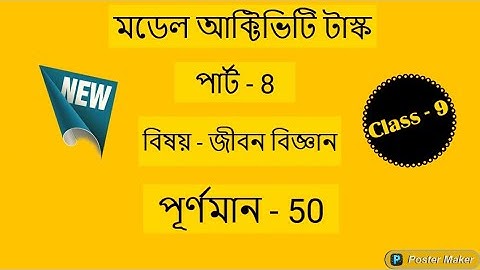 Class - 9 || Life Science|| Model Activity Task Part - 8 New || Full Marks - 50 || Study Point