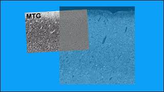 A2C458CCB80F2637D4B02C97DD66AF#2