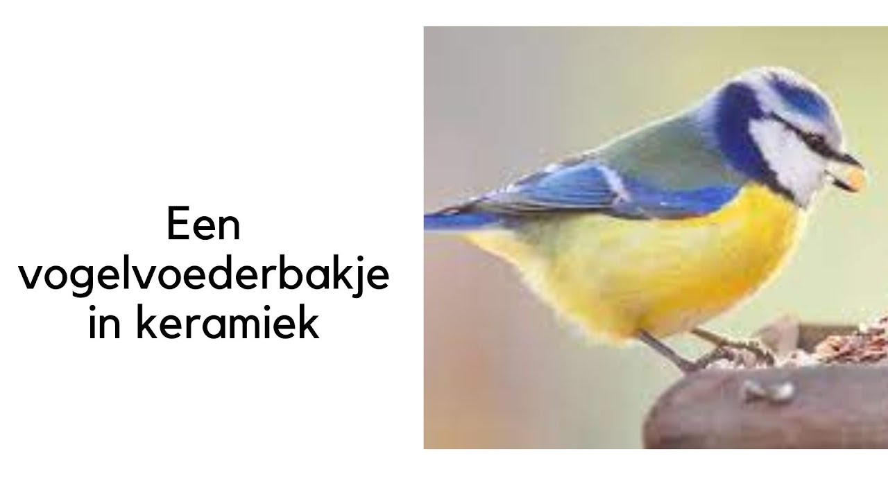 Een vogelvoederbakje in keramiek