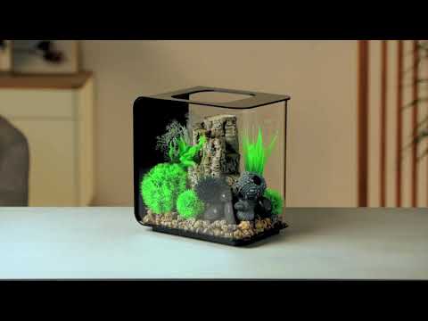 Comment décorer un aquarium en 20 secondes - biOrb Flow 15