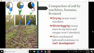 PPT 4 3 Soil Composition and Properties Part I- Clements APES