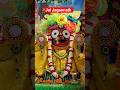 Jai Jagannath darshan ISKCON Indore #short #shorts #shortvideo #jagannath #jagrnath #jagan