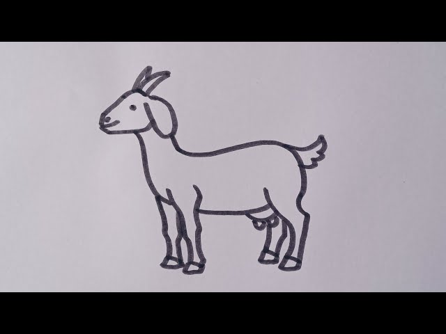 How to draw a Goat 🐐||Easy drawing step by step. - YouTube