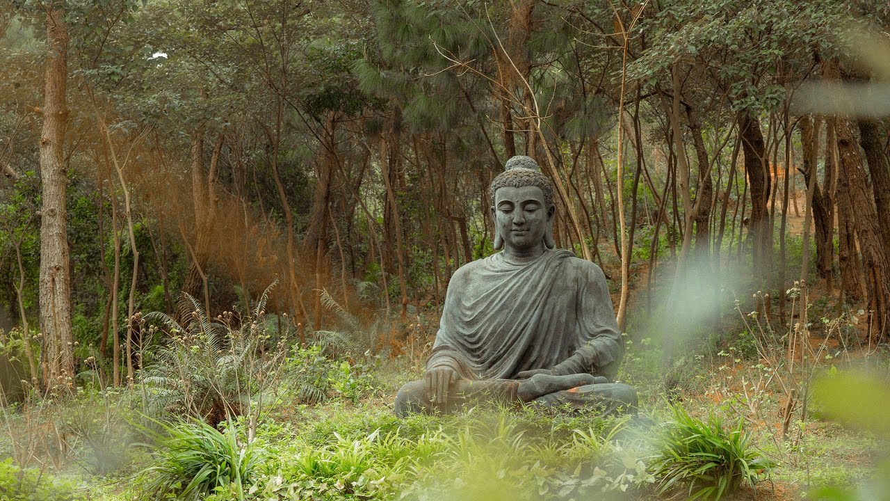 Медитация источник. Japanese Flute to Serenity on a Rainy Day - Japanese Zen Music for Soothing, Meditation, Healing.