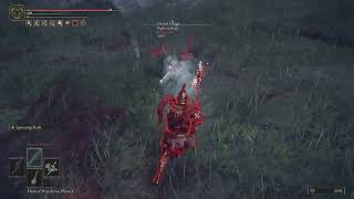 level 30 Tw!nk pvp