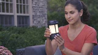 Thermacell Patio Shield Mosquito Repellent Lantern