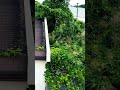 火災のあったウェルサンピア秋田の秋田国際ホテル、秋田アイスアリーナ