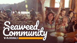 Seaweed Community (S3, E35) | 52 Documentary