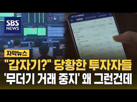 '갑자기?' 당황한 투자자들…'무더기 거래 중지' 왜 그런건데 (자막뉴스) / SBS