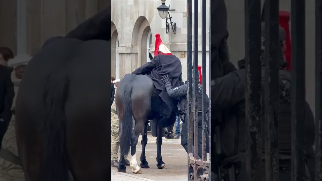 police stops kings guard from falling off after saddle comes loose #horse