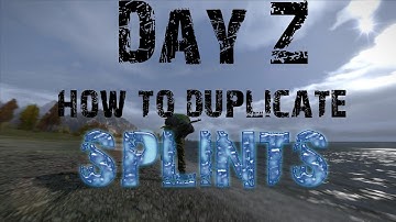 Day Z standalone How To Duplicate Splints