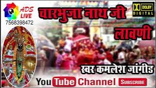 D.j अन्दाज में चारभुजा जी की लावणी Aashapura Digital studio 7568398472