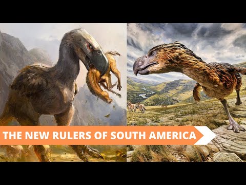 Video: Dinosaurs Exterminated By Man? 
