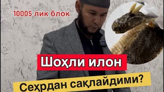 Шоҳли Илон Сеҳрдан Асрайдими?